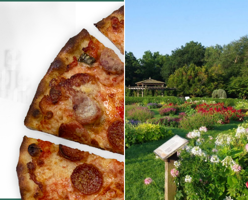 Connecticut Recommendations cover photo collage