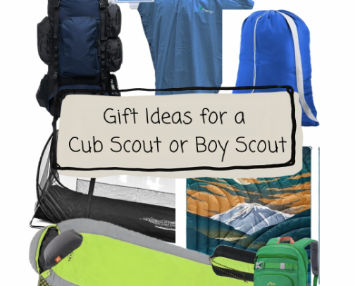 Gift Ideas for a Cub Scout or a Boy Scout (Camp Essentials!) cover photo collage