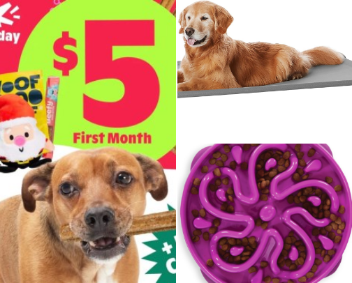 New Puppy Must Haves! cover photo collage