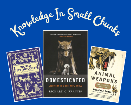 Knowledge In Small Chunks cover photo collage