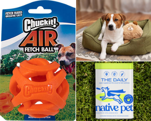 Dog essentials cover photo collage