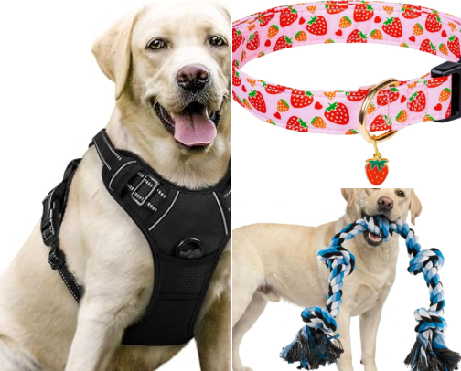all things furrbaby-dog edition cover photo collage