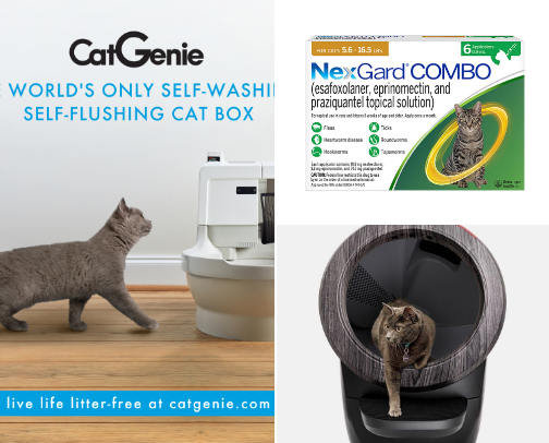 Meow Meow Meow Meow cover photo collage