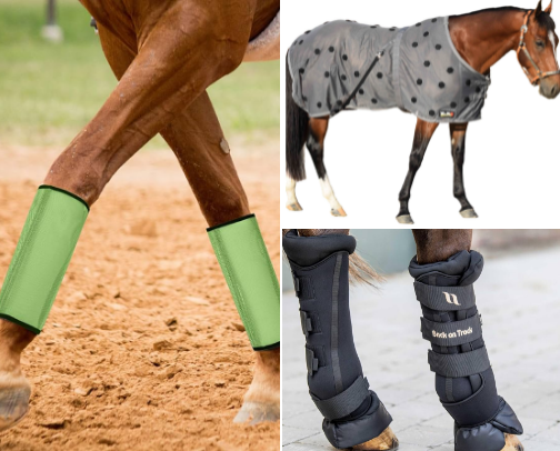 Favorite products for the horses cover photo collage