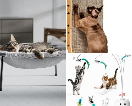 My furry friend's favorite cover photo collage