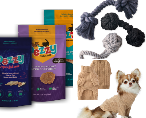 The Purrfect List cover photo collage