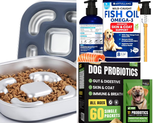 Vet med professional here🙋🏼‍♀️ what you need for your dogs cover photo collage