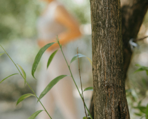 Stillness In Motion: Mindful Ways to Move cover photo collage