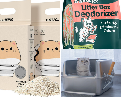 🫧 anti-smell cat essentials ☾ cover photo collage