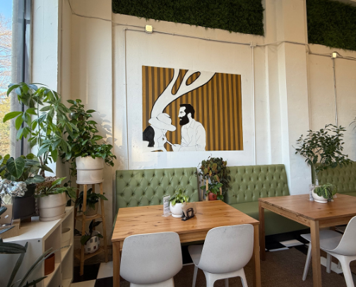 matcha recs cover photo collage