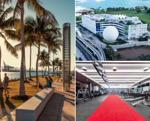 Fave things to do in Miami! cover photo collage