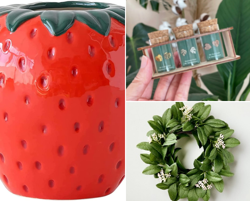 Give Me All the Plant Things! 🪴 cover photo collage