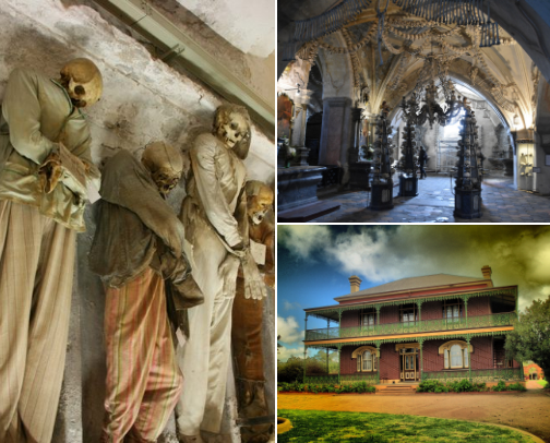 Places to Visit Before You Die cover photo collage