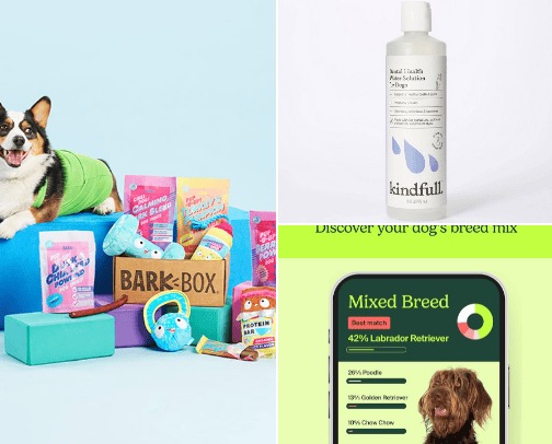 My dogs must haves cover photo collage