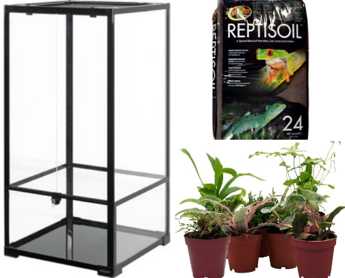 Crested gecko must haves cover photo collage