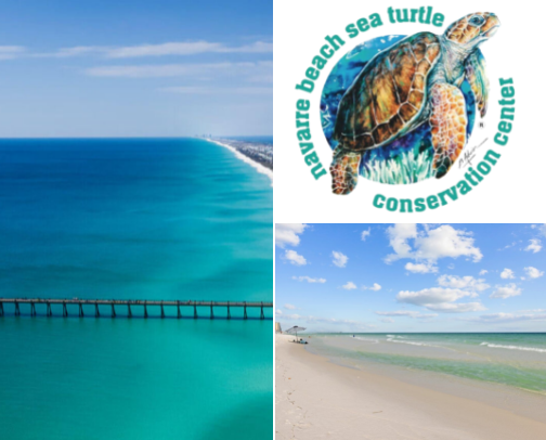 Discover the Best of Navarre Beach, Florida — Your Ultimate Travel Guide cover photo collage