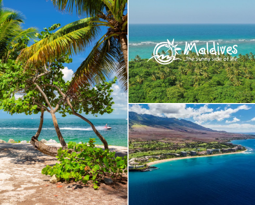 Best places to go if your looking for vacation! cover photo collage