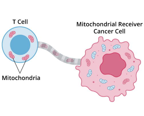 Cellular Biology cover photo collage