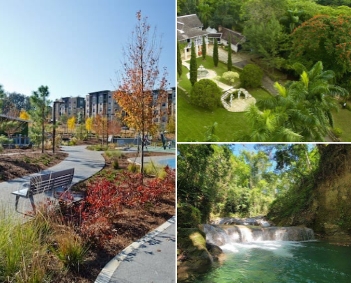 Places to Eat, Chill & Explore cover photo collage