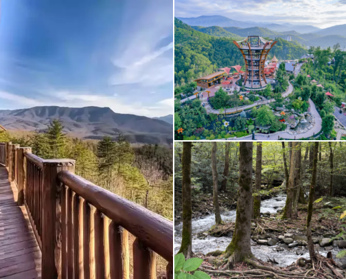 Smokey Mountain Vacation cover photo collage