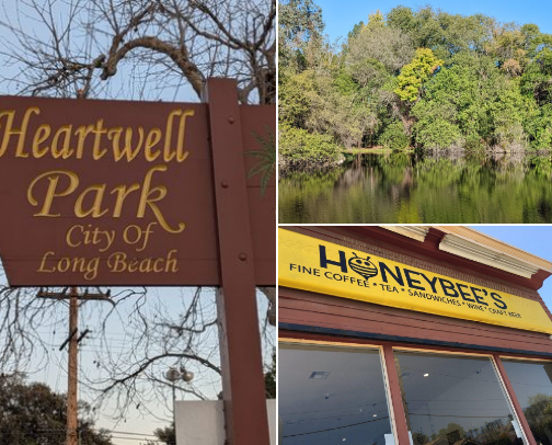 Top Costal SoCal Recs cover photo collage