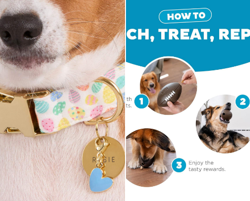 Pets cover photo collage
