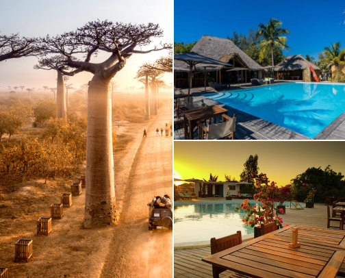 🌳 Your travel in Madagascar cover photo collage