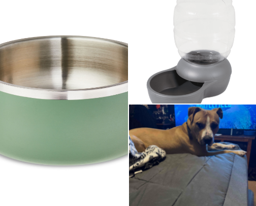 Just a girl and her pittie baby🐾 cover photo collage