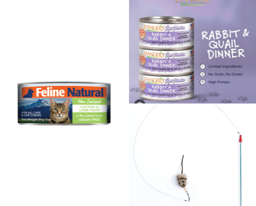Healthy, natural, holistic cat care recommendations from a 7 kitty household! cover photo collage