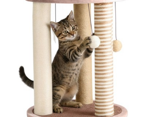 Cat Accessories Your Baby Needs🐱🐈🐈‍⬛ cover photo collage