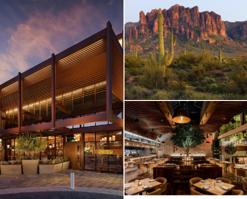 Arizona Bites on Repeat 🌵 cover photo collage