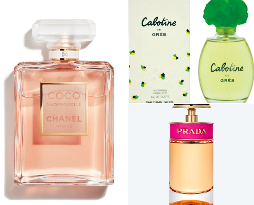 Scents & Smell Goods ✨ cover photo collage