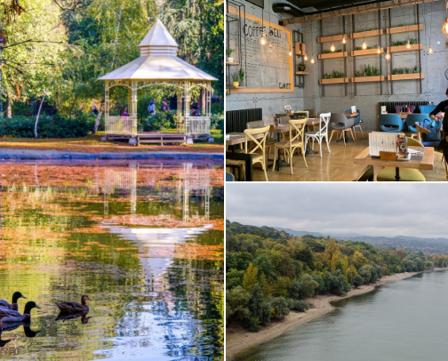 My top local recs cover photo collage