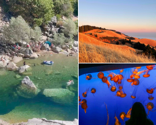 city escapes! (san francisco) cover photo collage