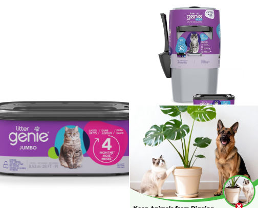 Here Kitty Kitty cover photo collage