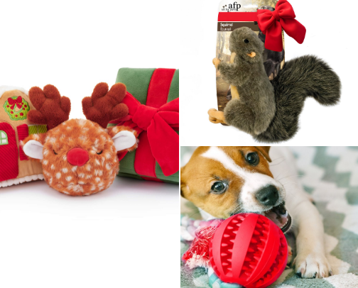 Must have items for dog owners cover photo collage