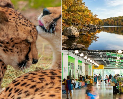 Things To Do Rhode Island cover photo collage