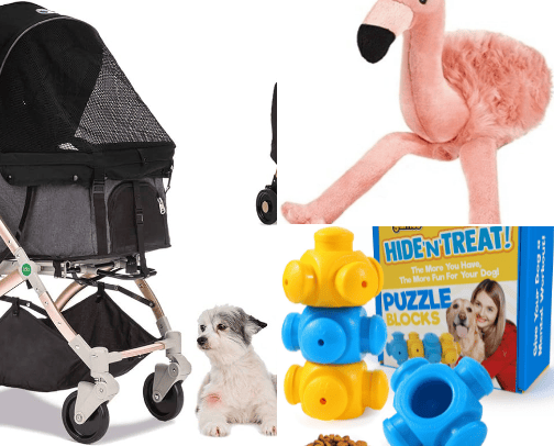 All the doggy things cover photo collage
