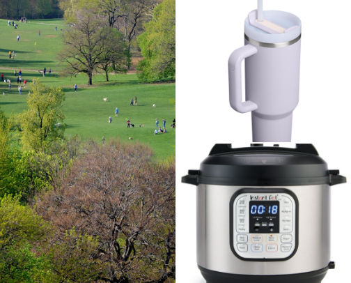 My top recs cover photo collage