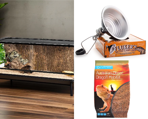 Bearded dragon care- light, food, supplies! cover photo collage