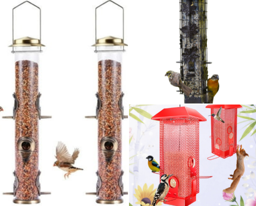 Landscape, Garden, and Outdoor areas cover photo collage