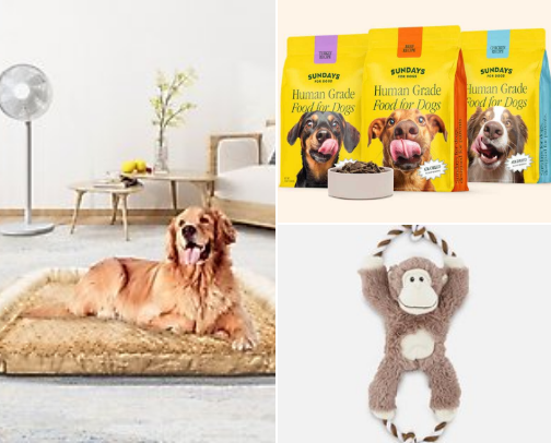 Essentials for my Dog cover photo collage