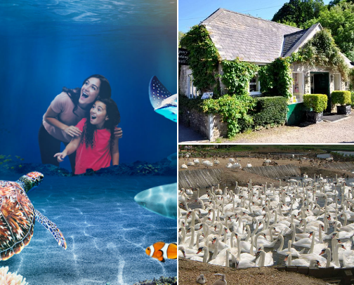 My top Dorset UK Family Friendly recs cover photo collage