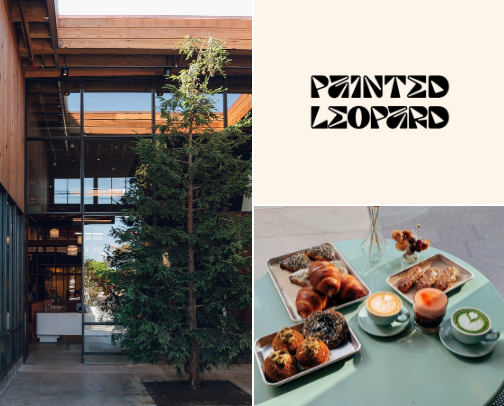 San Francisco Café Guide: My Go-To Spots for Work & Slow Weekends cover photo collage