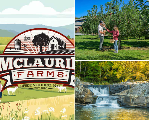 Crisp Leaves & Cozy Things cover photo collage