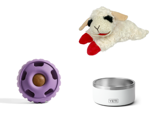 must haves for bringing home a new puppy 🍼 cover photo collage