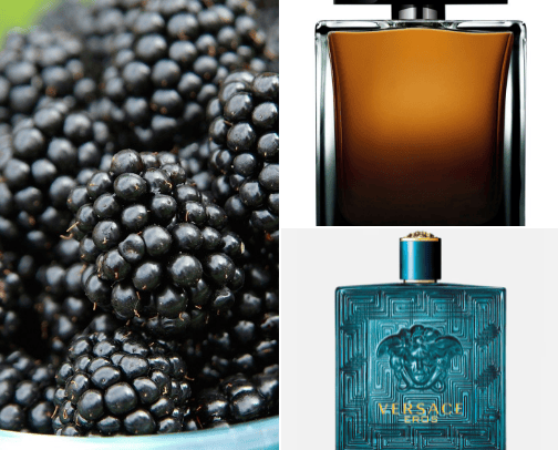 Favorite Fragrances cover photo collage