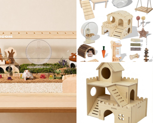 Everything My Hamster Owns (and some recommendations) cover photo collage