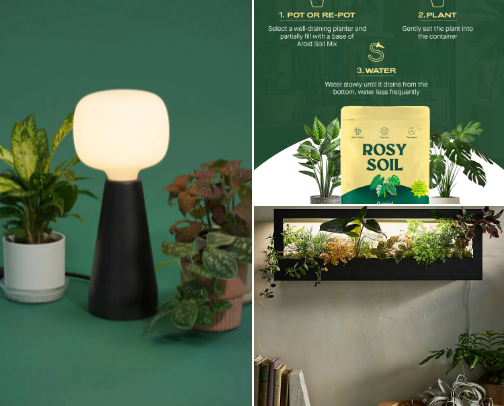 Townhouse Urban Jungle: The Modern-Industrial Starter Kit cover photo collage