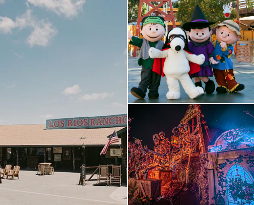 Fall Activities in Southern California cover photo collage